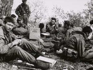 Soldaten van het NDVN in stelling