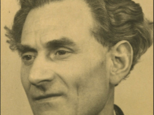 Portret van Nicolaas Bernardus Peeters
